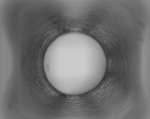 X0000112431393200908141101