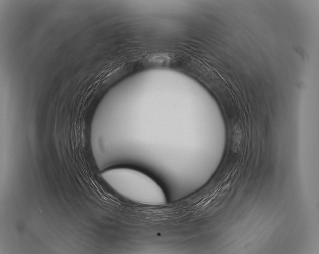 X0000112431394200908141101
