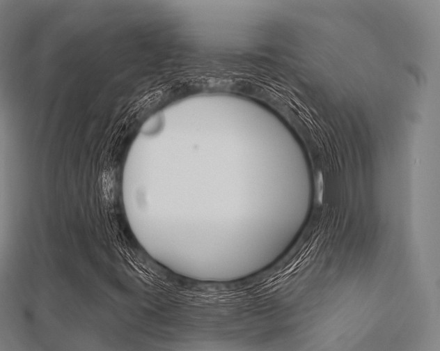 X0000112431395200908141101