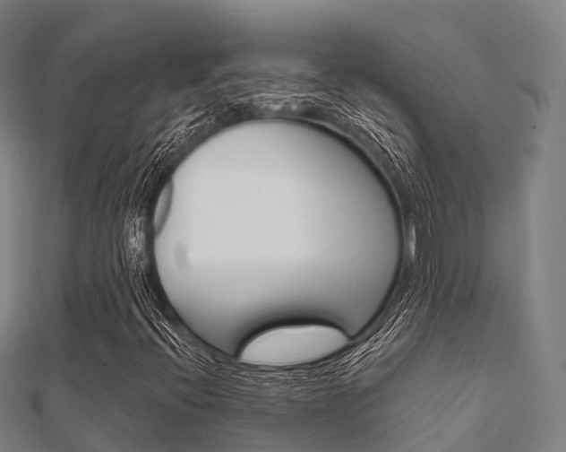 X0000112431396200908141101