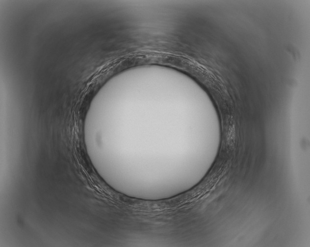 X0000112431397200908141101