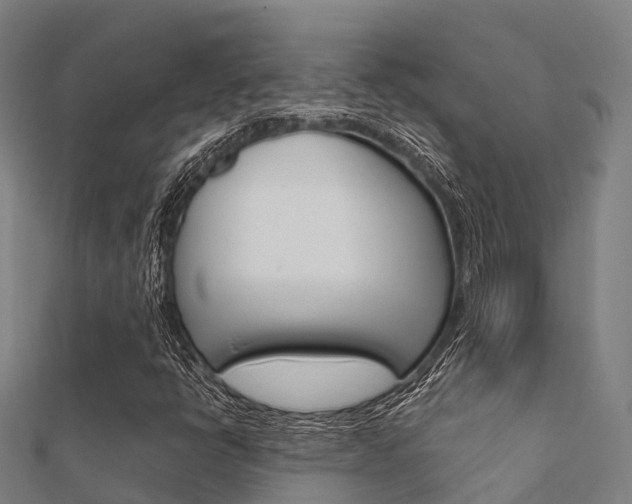 X0000112431398200908141101