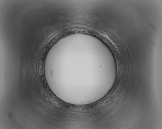 X0000112431399200908141101
