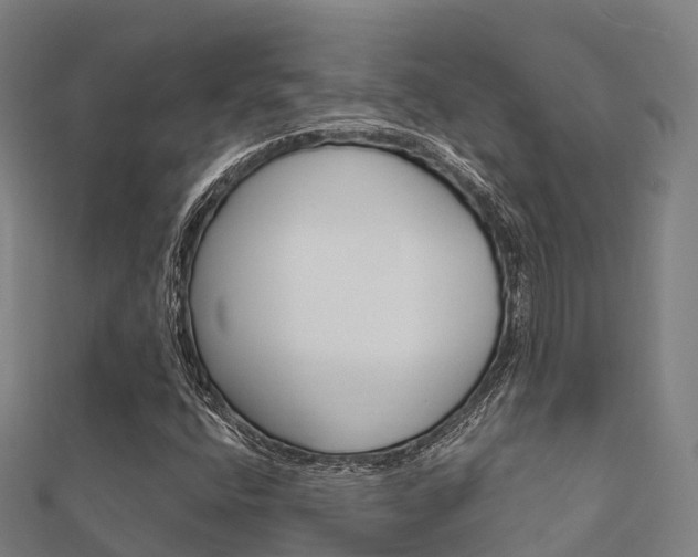 X0000112431400200908141101