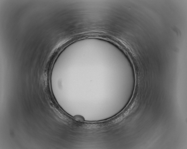 X0000112431402200908141101