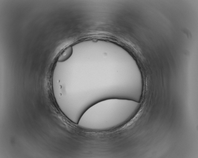 X0000112431405200908141101