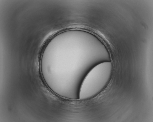 X0000112431408200908141101