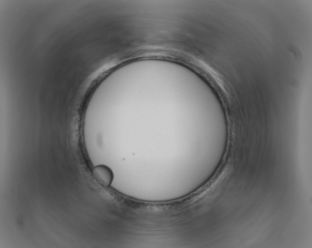 X0000112431411200908141101