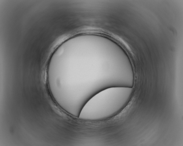 X0000112431413200908141101