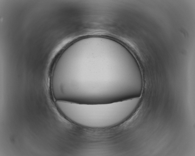 X0000112431414200908141101