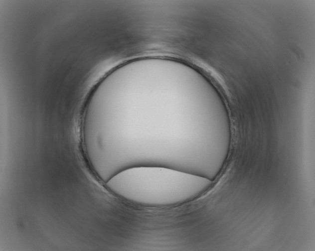X0000112431415200908141101