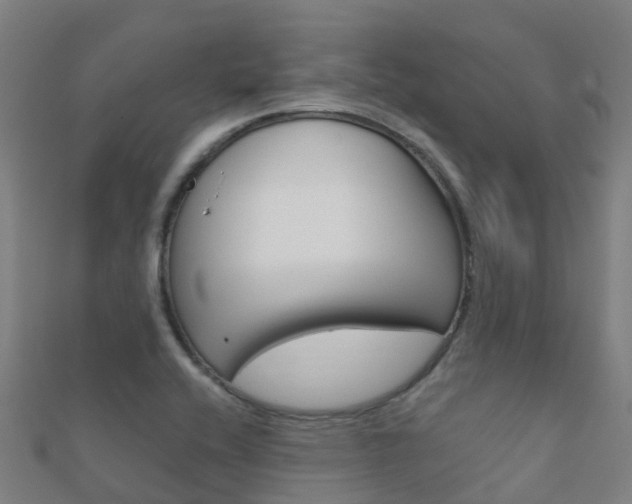 X0000112431416200908141101