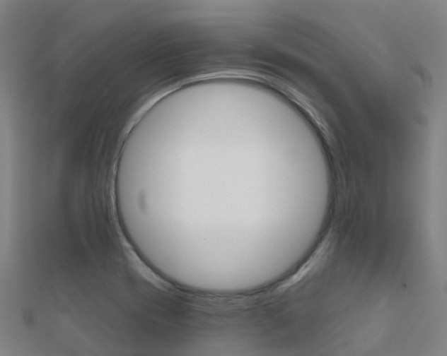 X0000112431417200908141101