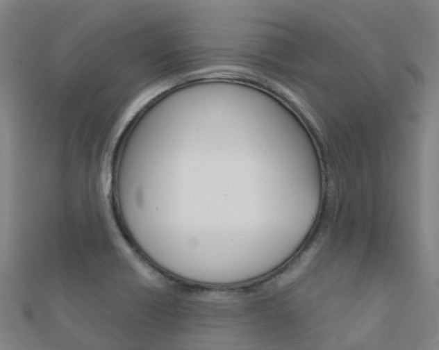 X0000112431418200908141101