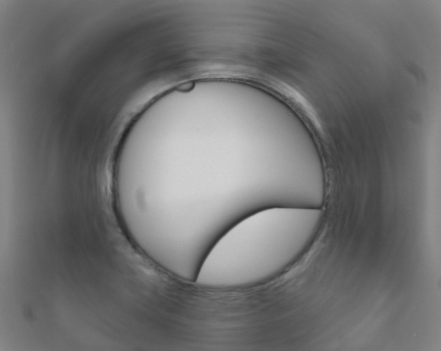 X0000112431419200908141101