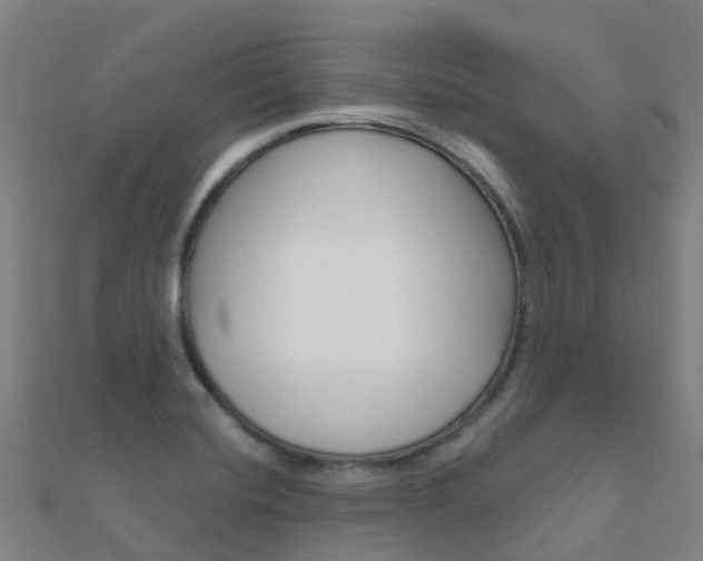 X0000112431420200908141101