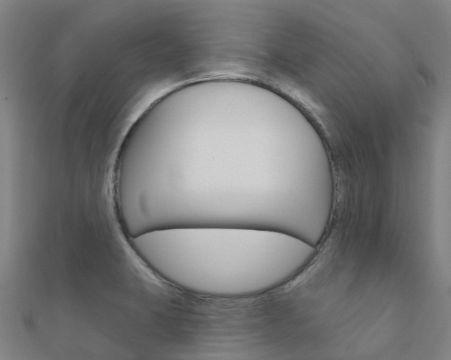 X0000112431423200908141101