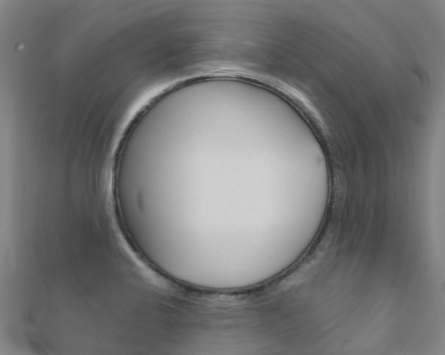 X0000112431424200908141101