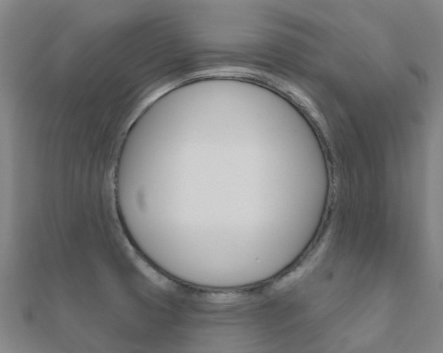 X0000112431425200908141101
