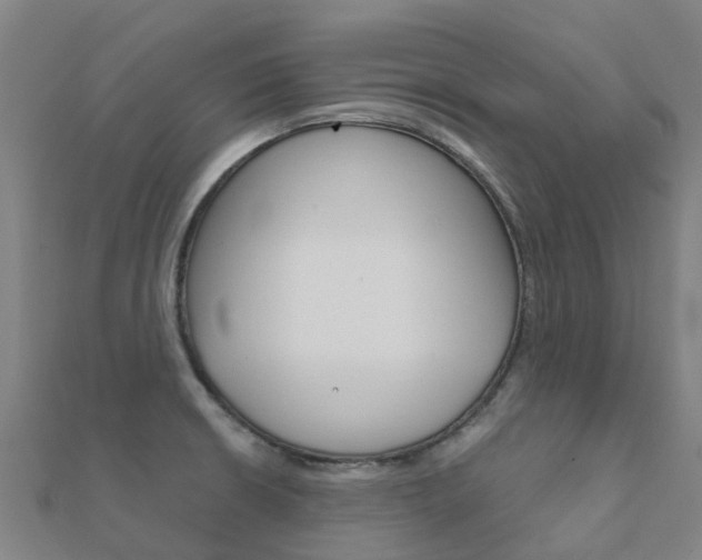 X0000112431426200908141101