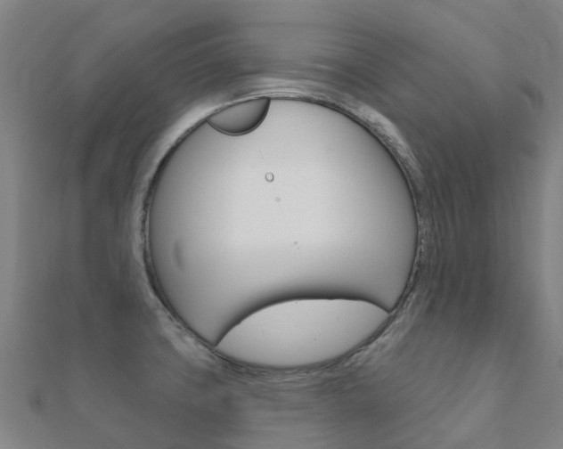 X0000112431427200908141101
