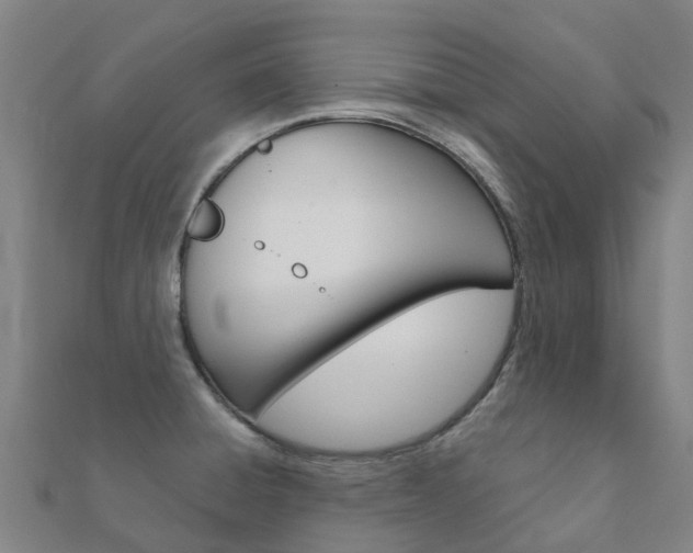 X0000112431428200908141101