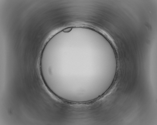 X0000112431429200908141101