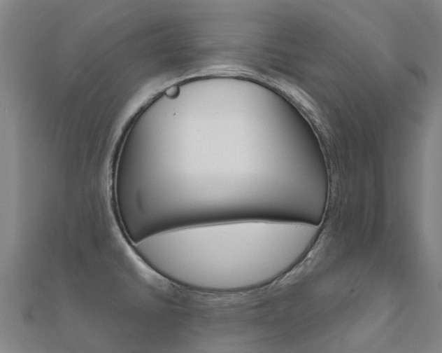 X0000112431430200908141101