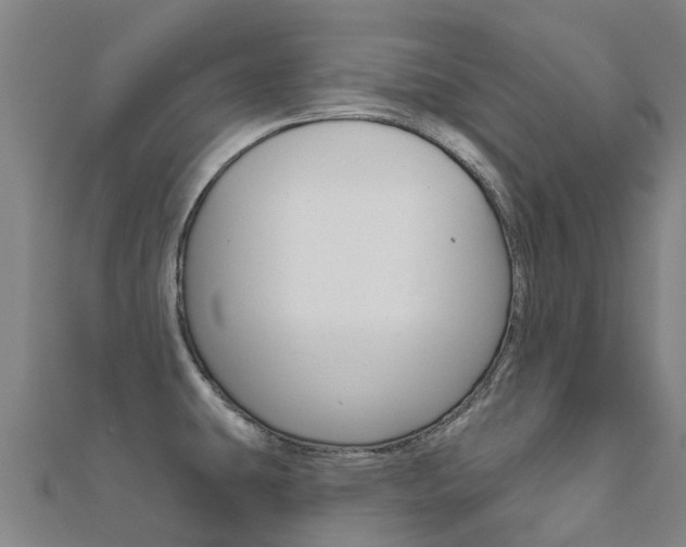 X0000112431431200908141101