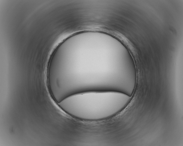 X0000112431432200908141101