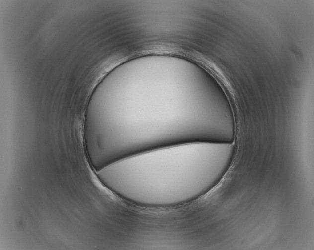 X0000112431433200908141101