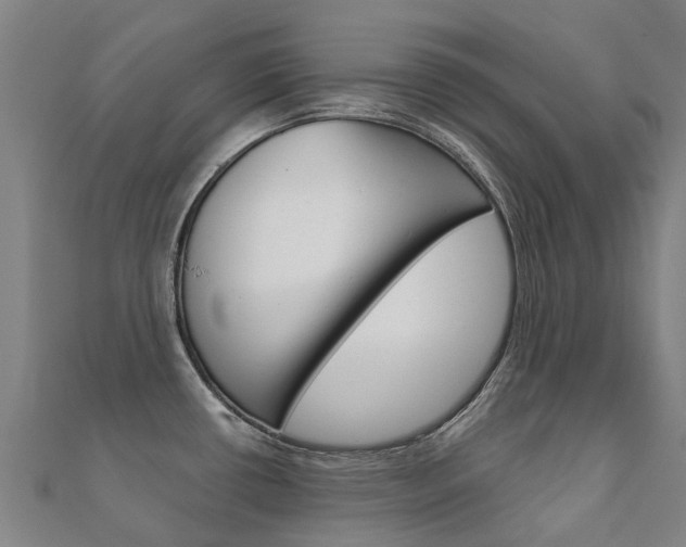 X0000112431434200908141101