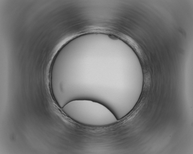 X0000112431435200908141101