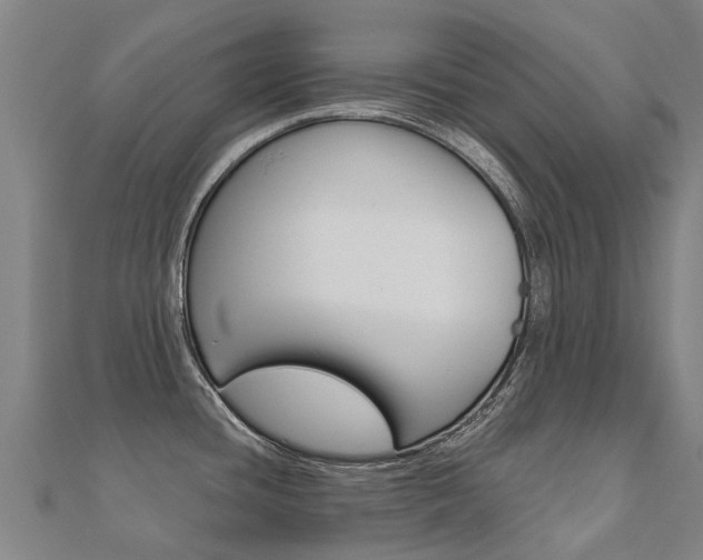 X0000112431436200908141101