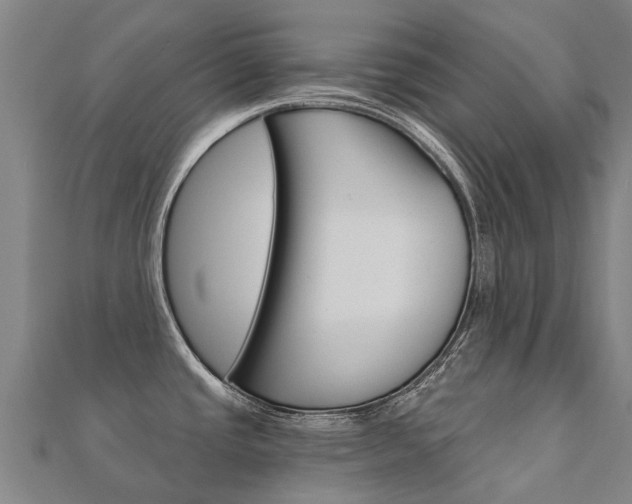 X0000112431437200908141101