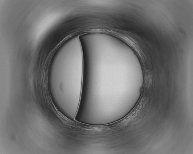 X0000112431438200908141101