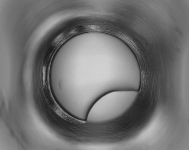 X0000112431439200908141101