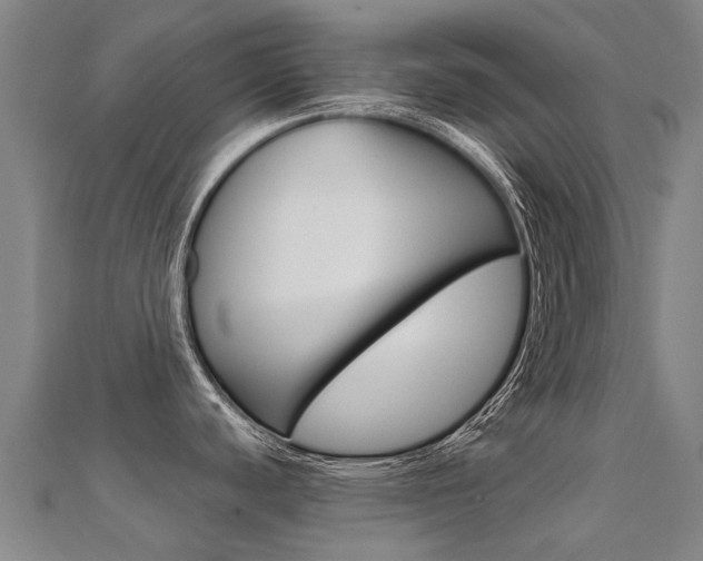 X0000112431440200908141101