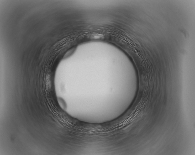 X0000112431442200908141101