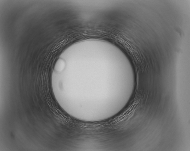 X0000112431443200908141101