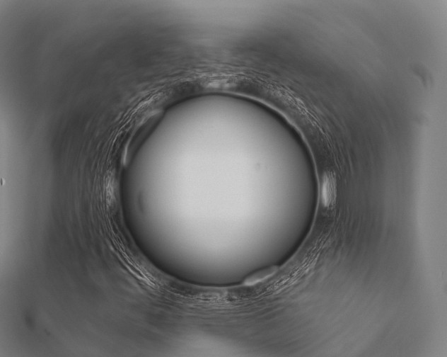 X0000112431444200908141100