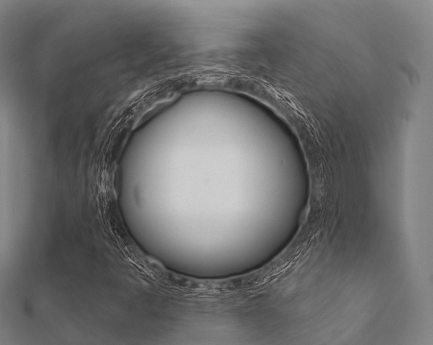 X0000112431445200908141100