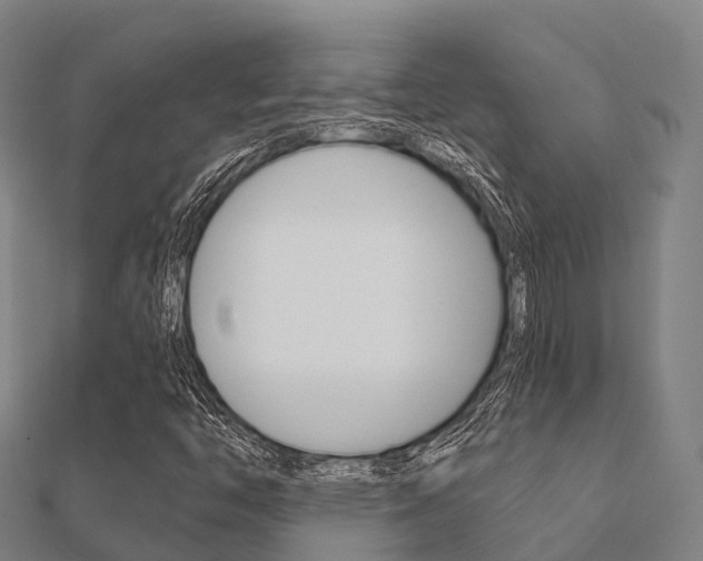 X0000112431446200908141100