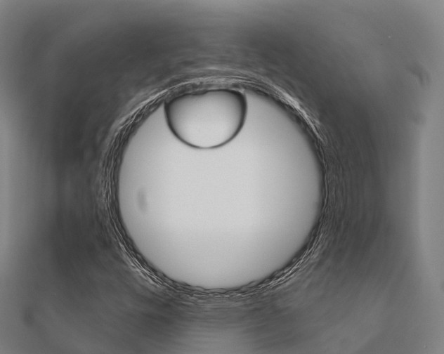 X0000112431448200908141100