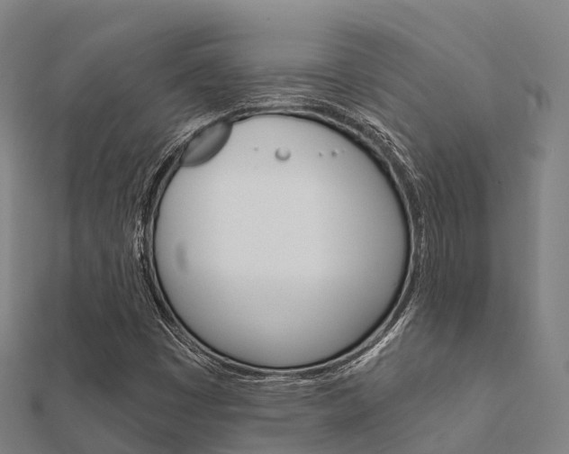 X0000112431449200908141100