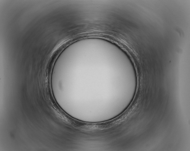 X0000112431450200908141100