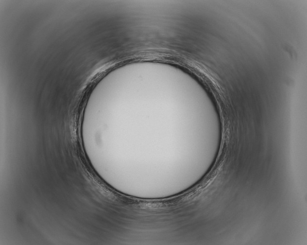 X0000112431451200908141100