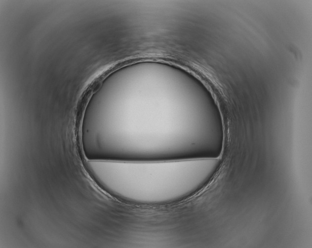 X0000112431452200908141100