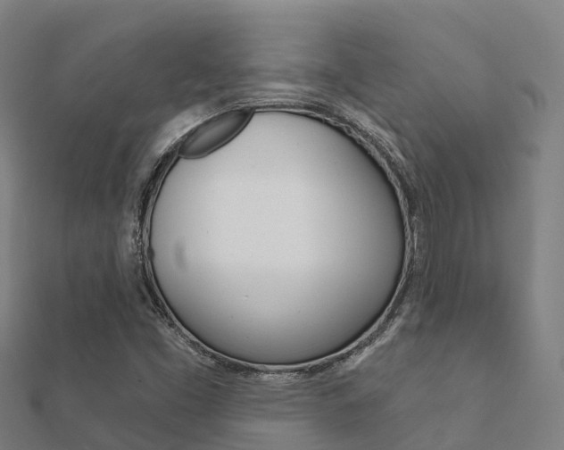 X0000112431453200908141100