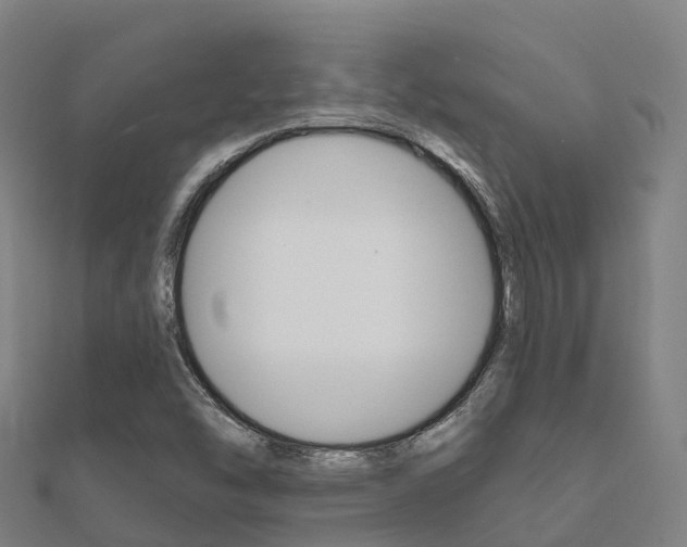 X0000112431454200908141100